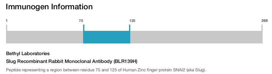 Slug Recombinant Rabbit Monoclonal Antibody (BLR139H)