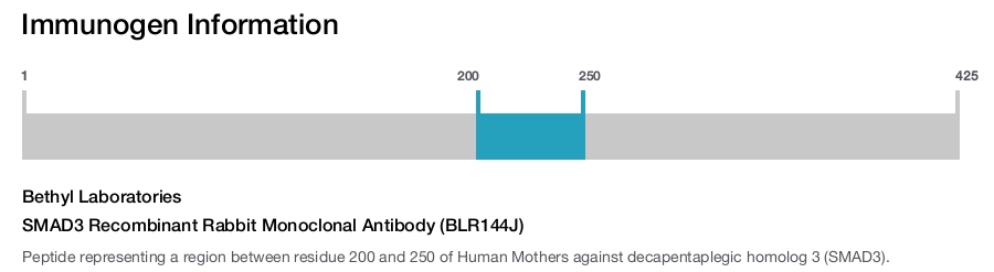 SMAD3 Recombinant Rabbit Monoclonal Antibody (BLR144J)