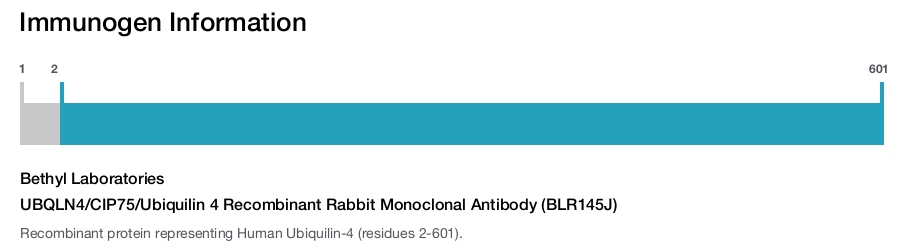 UBQLN4/CIP75/Ubiquilin 4 Recombinant Rabbit Monoclonal Antibody (BLR145J)