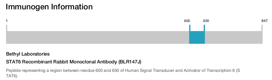 STAT6 Recombinant Rabbit Monoclonal Antibody (BLR147J)