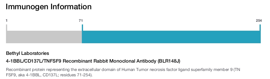 4-1BBL/CD137L/TNFSF9 Recombinant Rabbit Monoclonal Antibody (BLR148J)