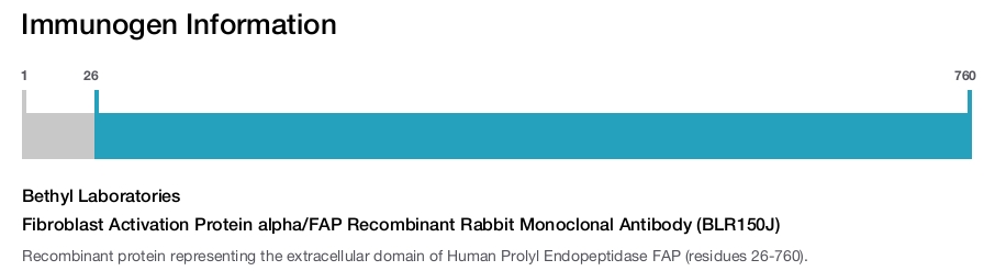 Fibroblast Activation Protein alpha/FAP Recombinant Rabbit Monoclonal Antibody (BLR150J)