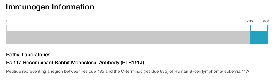 Bcl11a Recombinant Rabbit Monoclonal Antibody (BLR151J)