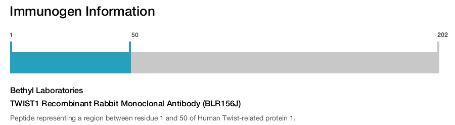 TWIST1 Recombinant Rabbit Monoclonal Antibody (BLR156J)