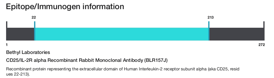 CD25/IL-2R alpha Recombinant Rabbit Monoclonal Antibody (BLR157J)