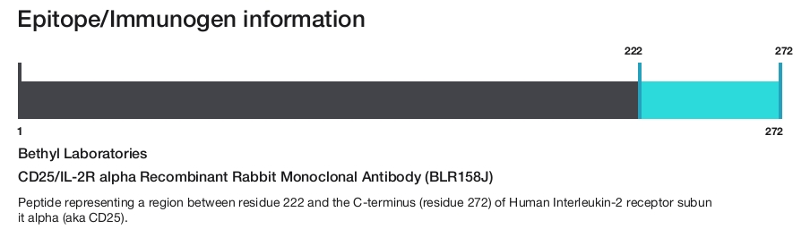CD25/IL-2R alpha Recombinant Rabbit Monoclonal Antibody (BLR158J)