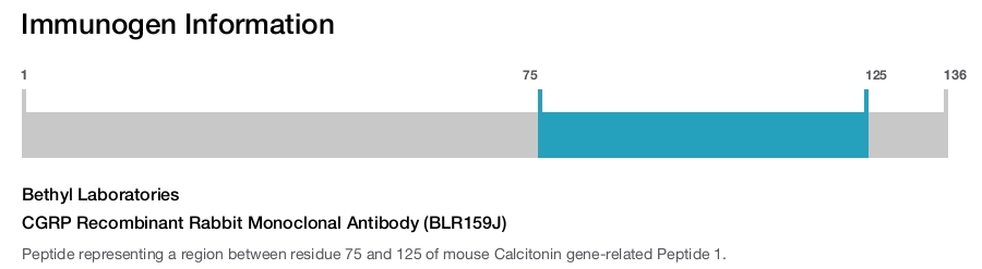 CGRP Recombinant Rabbit Monoclonal Antibody (BLR159J)