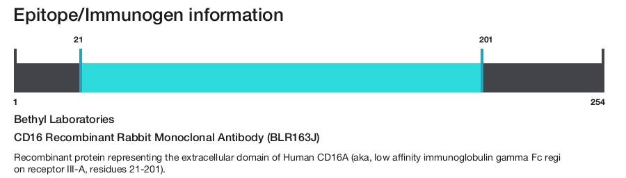 CD16 Recombinant Rabbit Monoclonal Antibody (BLR163J)