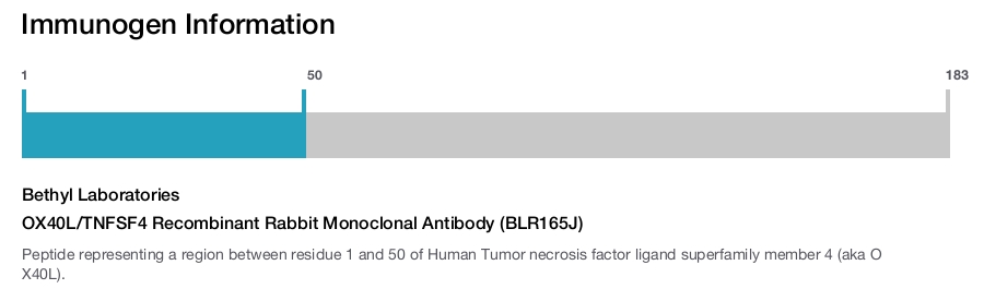 OX40L/TNFSF4 Recombinant Rabbit Monoclonal Antibody (BLR165J)