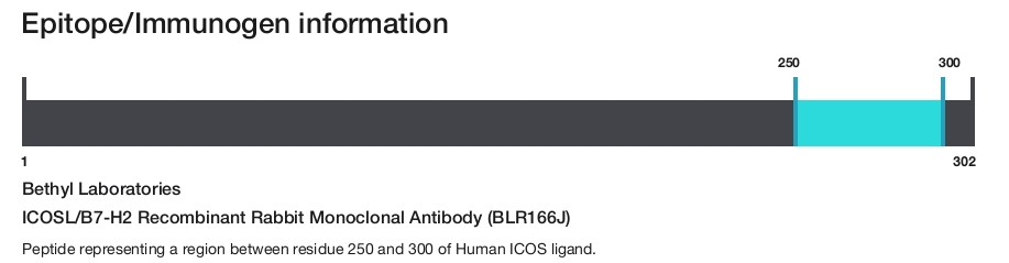 ICOSL/B7-H2 Recombinant Rabbit Monoclonal Antibody (BLR166J)
