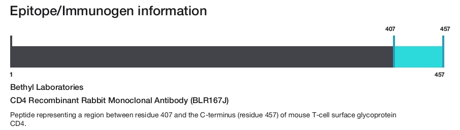 CD4 Recombinant Rabbit Monoclonal Antibody (BLR167J)