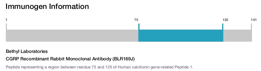 CGRP Recombinant Rabbit Monoclonal Antibody (BLR169J)