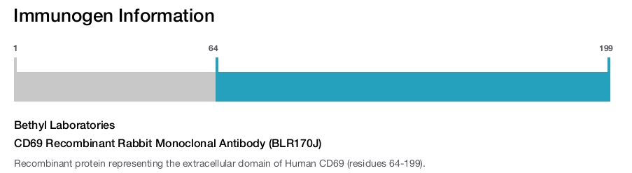 CD69 Recombinant Rabbit Monoclonal Antibody (BLR170J)