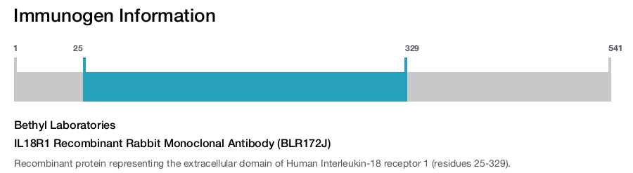 IL18R1 Recombinant Rabbit Monoclonal Antibody (BLR172J)