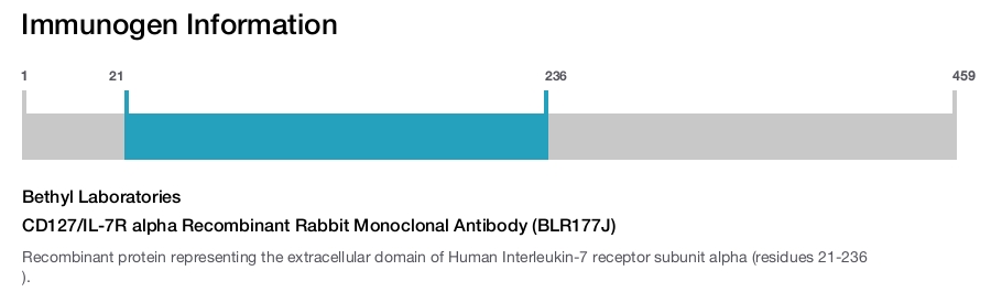 CD127/IL-7R alpha Recombinant Rabbit Monoclonal Antibody (BLR177J)