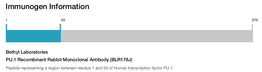 PU.1 Recombinant Rabbit Monoclonal Antibody (BLR178J)