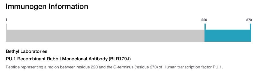 PU.1 Recombinant Rabbit Monoclonal Antibody (BLR179J)