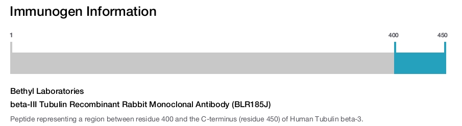 beta-III Tubulin Recombinant Rabbit Monoclonal Antibody (BLR185J)