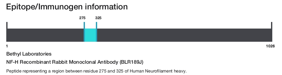 NF-H Recombinant Rabbit Monoclonal Antibody (BLR189J)