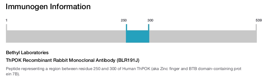 ThPOK Recombinant Rabbit Monoclonal Antibody (BLR191J)