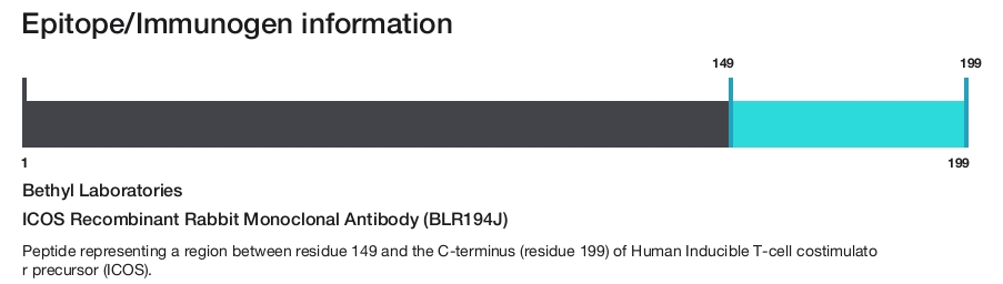 ICOS Recombinant Rabbit Monoclonal Antibody (BLR194J)