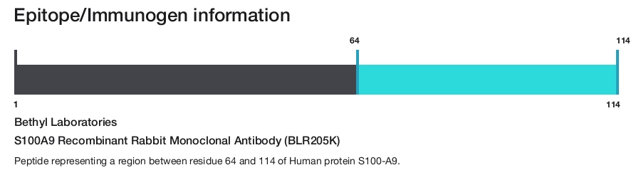 S100A9 Recombinant Rabbit Monoclonal Antibody (BLR205K)