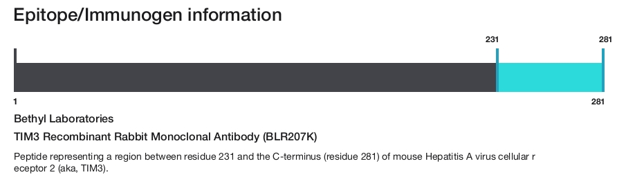 TIM3 Recombinant Rabbit Monoclonal Antibody (BLR207K)