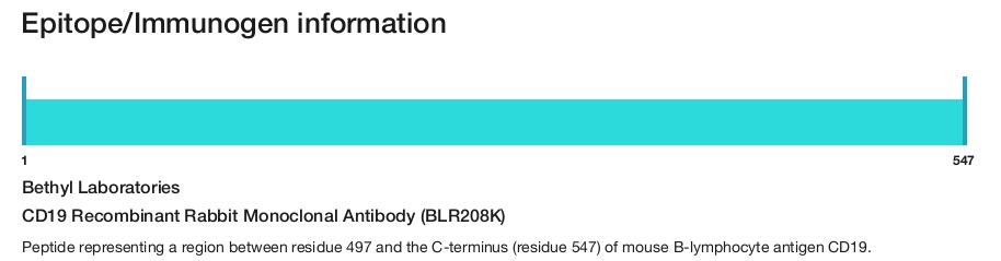 CD19 Recombinant Rabbit Monoclonal Antibody (BLR208K)