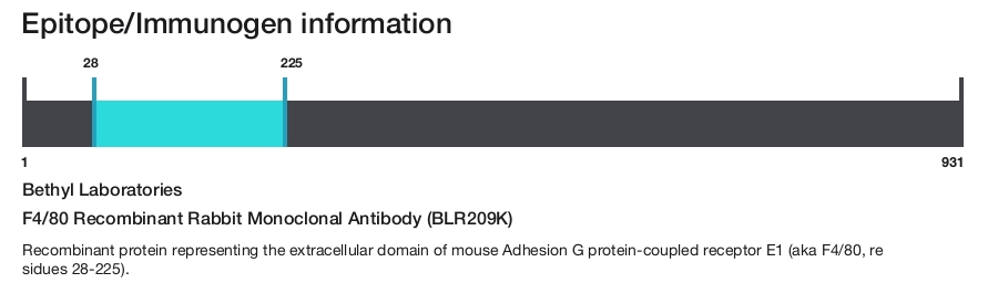 F4/80 Recombinant Rabbit Monoclonal Antibody (BLR209K)