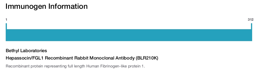 Hepassocin/FGL1 Recombinant Rabbit Monoclonal Antibody (BLR210K)