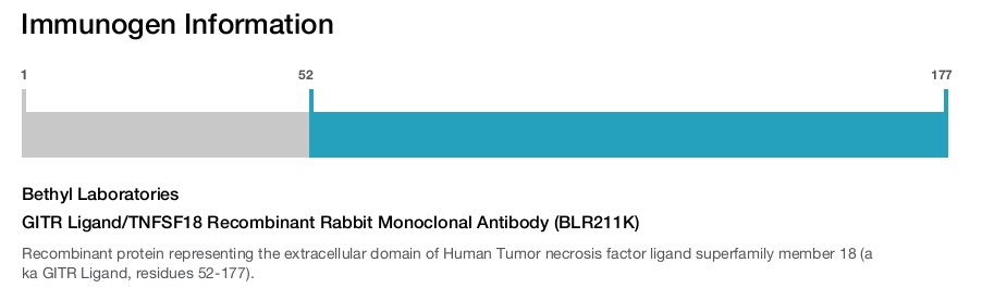 GITR Ligand/TNFSF18 Recombinant Rabbit Monoclonal Antibody (BLR211K)