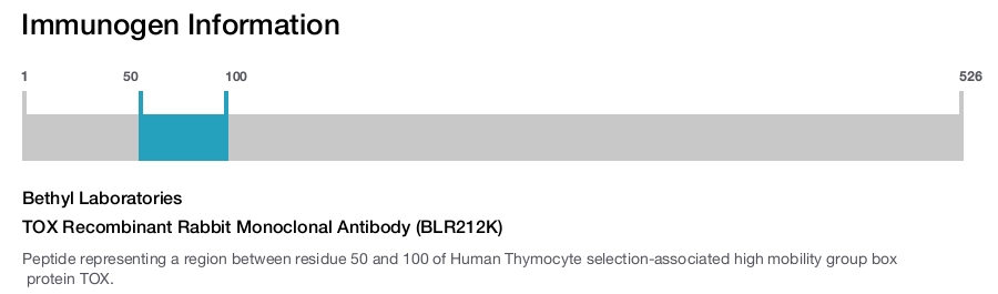 TOX Recombinant Rabbit Monoclonal Antibody (BLR212K)