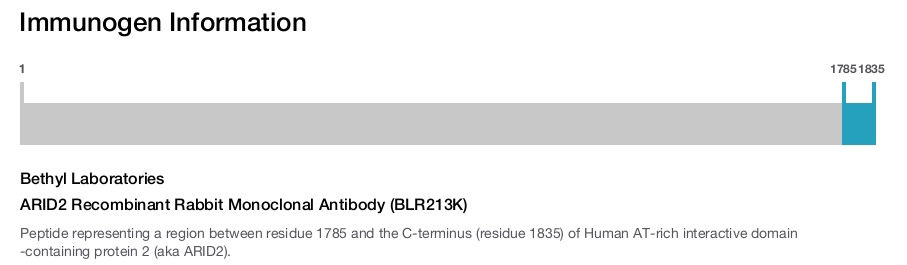 ARID2 Recombinant Rabbit Monoclonal Antibody (BLR213K)