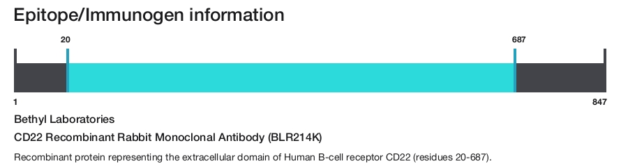 CD22 Recombinant Rabbit Monoclonal Antibody (BLR214K)