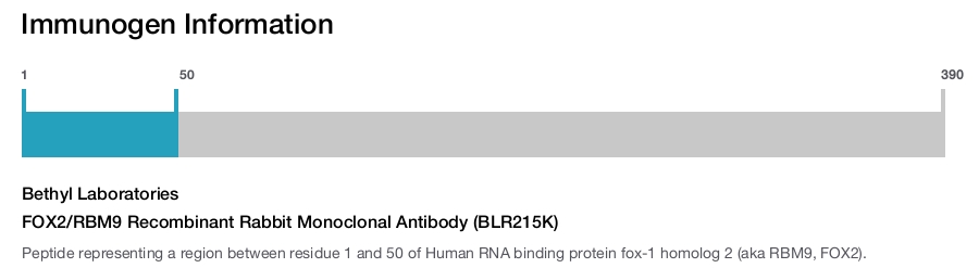 FOX2/RBM9 Recombinant Rabbit Monoclonal Antibody (BLR215K)