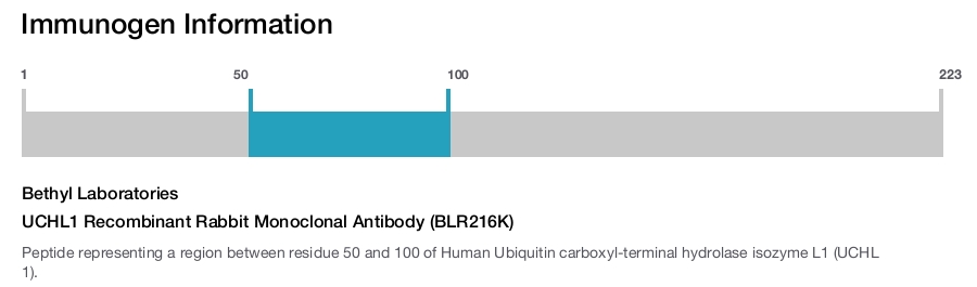 UCHL1 Recombinant Rabbit Monoclonal Antibody (BLR216K)