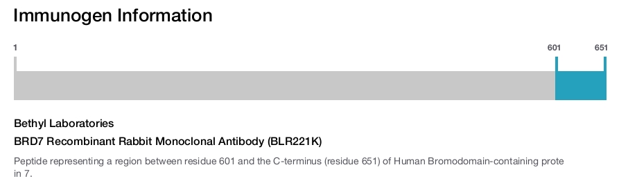 BRD7 Recombinant Rabbit Monoclonal Antibody (BLR221K)