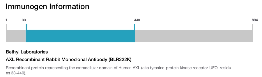 AXL Recombinant Rabbit Monoclonal Antibody (BLR222K)