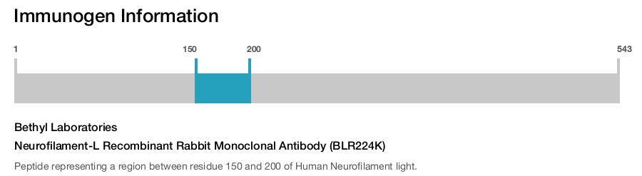 Neurofilament-L Recombinant Rabbit Monoclonal Antibody (BLR224K)