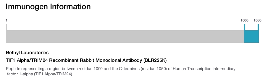 TIF1 Alpha/TRIM24 Recombinant Rabbit Monoclonal Antibody (BLR225K)