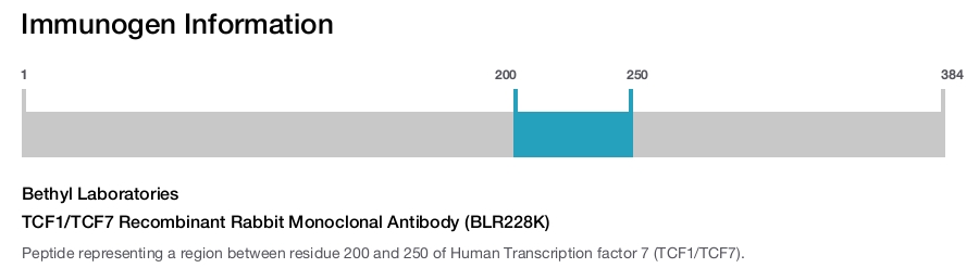TCF1/TCF7 Recombinant Rabbit Monoclonal Antibody (BLR228K)
