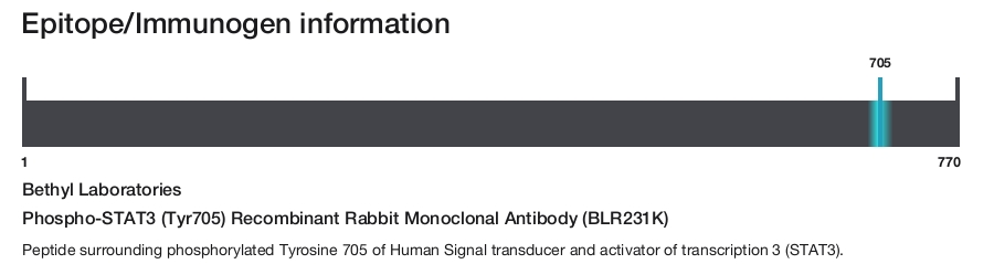 Phospho-STAT3 (Tyr705) Recombinant Rabbit Monoclonal Antibody (BLR231K)