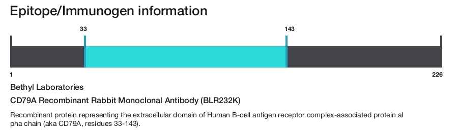 CD79A Recombinant Rabbit Monoclonal Antibody (BLR232K)