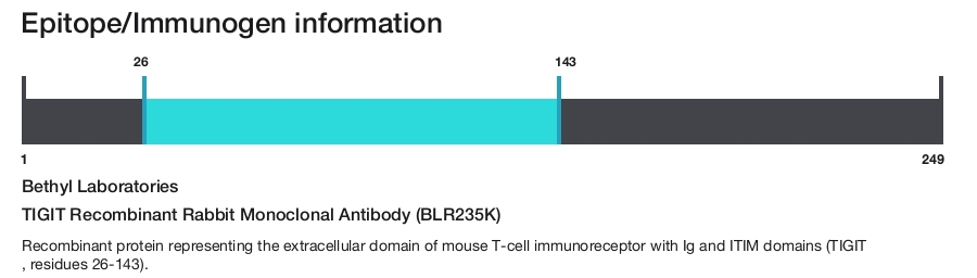 TIGIT Recombinant Rabbit Monoclonal Antibody (BLR235K)