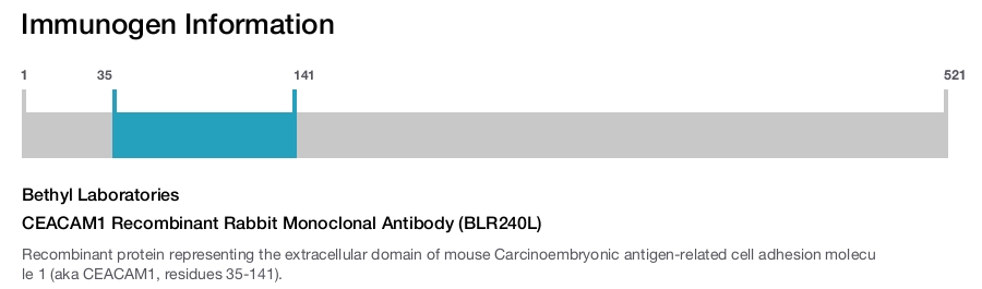 CEACAM1 Recombinant Rabbit Monoclonal Antibody (BLR240L)