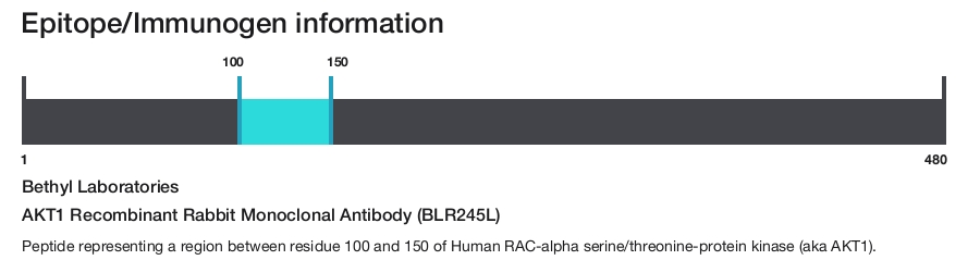 AKT1 Recombinant Rabbit Monoclonal Antibody (BLR245L)