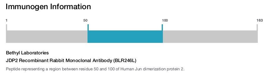 JDP2 Recombinant Rabbit Monoclonal Antibody (BLR246L)