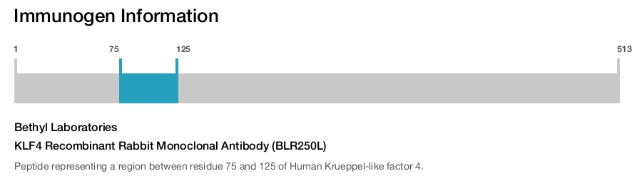 KLF4 Recombinant Rabbit Monoclonal Antibody (BLR250L)