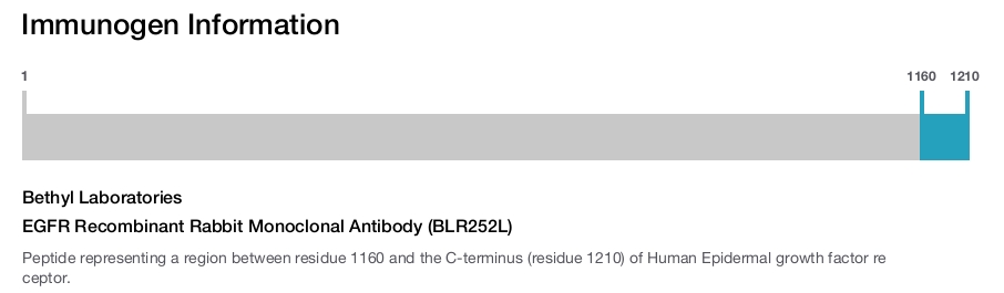 EGFR Recombinant Rabbit Monoclonal Antibody (BLR252L)