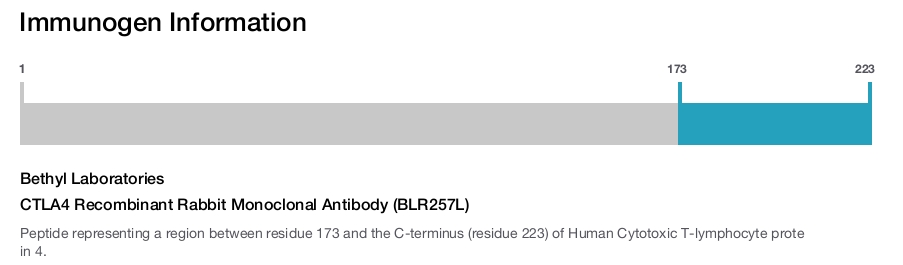 CTLA4 Recombinant Rabbit Monoclonal Antibody (BLR257L)